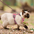 Cat Harness and Leash Set for Walking Escape Proof, Improved Four Place - Image 5