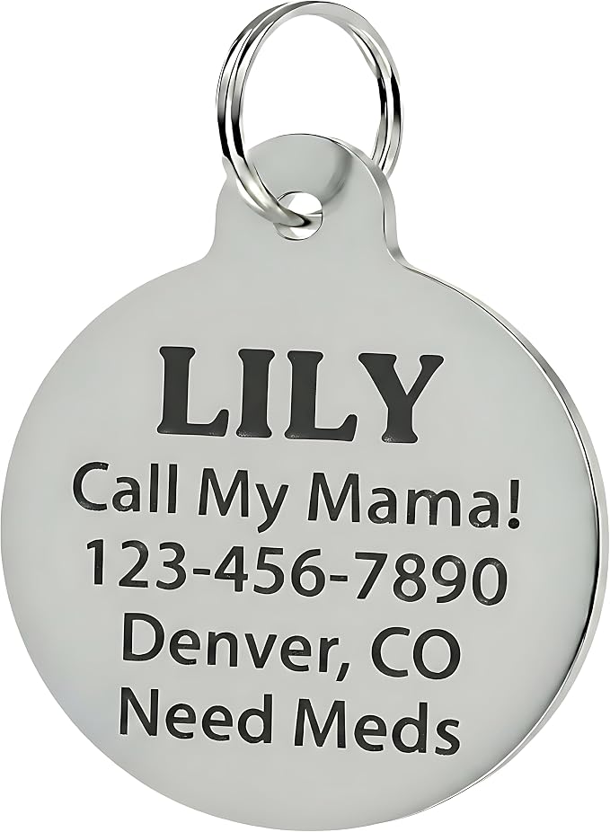 Bad Tags Personalized Dog and Cat ID Tags in 25+ Designs and 2 Sizes - Image 3