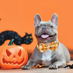 Halloween Dog Collar, Pet Collar Bow Fall Puppy Collar Girl Boy Holiday Pet - Image 5