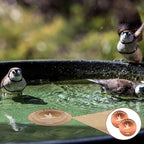 3PCS Pure Copper Bird Bath Purification Disk - Image 7
