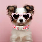 Valentines Dog Collar for Medium Dogs - Image 2