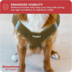 Downtown Pet Supply Step-in Dog Harness – No Pull, Adjustable Padded Mesh - Image 7
