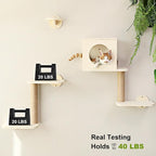 FUKUMARU Cat Wall Shelves, 5-Piece Stable Wooden Wall-Mounted Furniture Set - Image 6