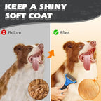 3PCS Pet Grooming Rake & Metal Comb & Flea Comb - Image 6
