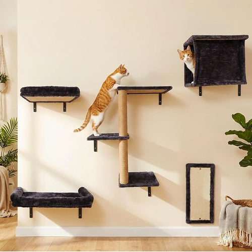 5in1 Cat Wall Shelves Climbing Systems, Large Cat Furniture Shelf Set Wall by Unknown