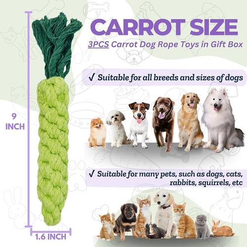 3PCS Green Woven Pet Chew Set, Dog Chew Accessories, Cat Interactive Chews - Image 2
