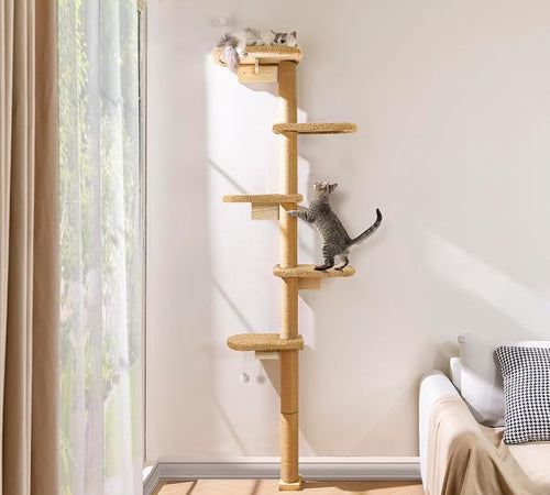 5-Tier Tall Cat Tree for Kittens, Floor to Ceiling Wall Mounted Cat Wall Shelves by PELUOMOZ