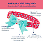 Blueberry Pet Valentines Day Dog Collar - Image 3