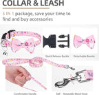 PUPTECK Adjustable Dog Harness Collar and Leash Set, Step in No Pull Pet Harness - Image 3