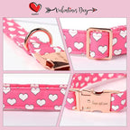 Unique style paws Dog Collar Metal Buckle Collar - Image 3