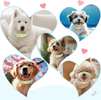 Easter Dog Collar for Medium Dogs, Easter & Spring Theme Medium Dog Collar - Image 8