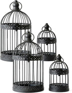 Vela Lanterns Bird Cage Decor Candle Holder Lantern Decorative Table by VelaCandleLanterns