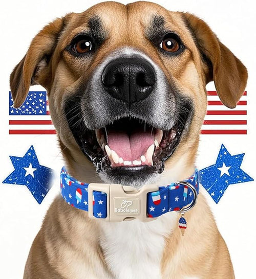 4th of July Dog Collar, Summer Popsicle Patriotic Dog Collars - Image 2