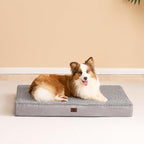EHEYCIGA Orthopedic XL Dog Beds - Image 7