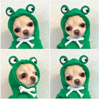Warm Dog Winter Clothes Cute Fruit Dog Coat Hoodies Fleece Pet Dogs Costume - Image 4