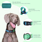Roses&Poetry Dog Collars for Medium Dogs, Adjustable Durable Pet Collars for - Image 3