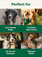 Earth Rated Pet Wipes for Dogs and Cats, Hypoallergenic, Cleaning and Hydrating - Image 7