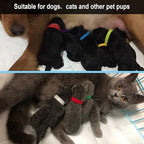 FEBSNOW 20Pcs Puppy Whelping Collars 9 inch Newborn Pet Collars Double-Sided - Image 6
