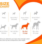 Nylabone Textured Ring Power Chew Toy - Image 7