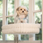 CHEERPALS Cat Window Perch for Indoor Cats Hammock for Window - Image 7