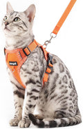 Cat Harness and Leash Escape Proof Medium Kitten Harness Bengal Cat Vest by pangdi