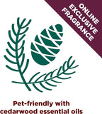 Arm & Hammer Forever Fresh Clumping Cat Litter Cedarwood, Pet Friendly - Image 2