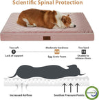 WNPETHOME Orthopedic Big Dog Beds Large Sized Dog, Waterproof Extra Large Dogs - Image 3