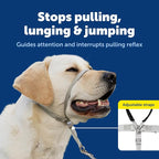 PetSafe Gentle Leader No-Pull Headcollar - Image 3