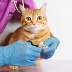 10 Pcs Cat Bathing Bag Set Pet Mesh Shower Bag Anti Bite and Scratch Pet - Image 7