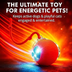Interactive Electric Automatic Rolling Moving USB Rechargeable Self Activated - Image 8
