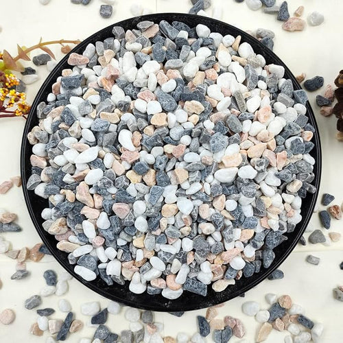5LBS Succulent and Cactus Gravel Pebbles, 1/5 Inch Natural Decorative Polished by YISZM-ForYourNaturalLife