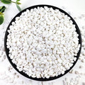 5LB Succulent and Cactus Gravel Pebbles, 1/5 Inch White Natural Decorative by YISZM-ForYourNaturalLife