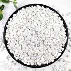 5LB Succulent and Cactus Gravel Pebbles, 1/5 Inch White Natural Decorative by YISZM-ForYourNaturalLife