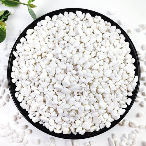 5LB Succulent and Cactus Gravel Pebbles, 1/5 Inch White Natural Decorative by YISZM-ForYourNaturalLife