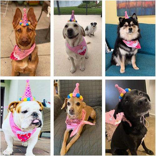 ADOGGYGO Dog Birthday Bandana Scarf and Dog Girl Birthday Party Hat - Image 2