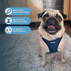 Best Pet Supplies - Image 3