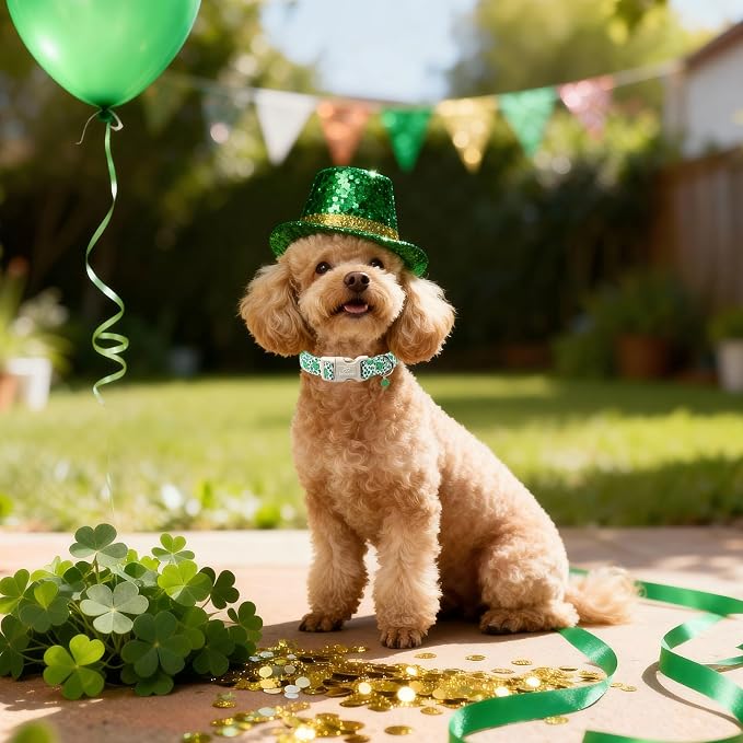 St Patricks Day Dog Collar for Small Dogs - Image 2
