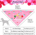 ADOGGYGO Dog Bandana Hat Set for Birthday Party Supply, Boy Girl Puppy Birthday - Image 3