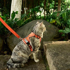 Cat Harness and Leash Escape Proof Large Kitten Harness Ragdoll Cat Vest - Image 8