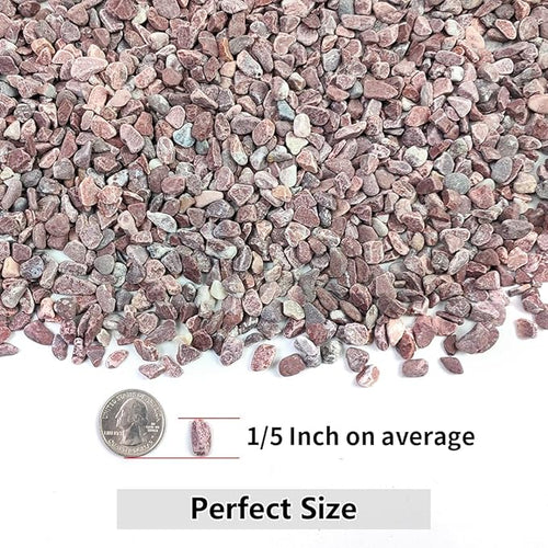 5LB Succulent and Cactus Gravel Pebbles, 1/5 Inch Natural Decorative Polished - Image 2