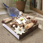 Kyouki Bird Toys, Parakeet Toys, Parrot Toy, Conure Hanging Chewable Cardboard - Image 5