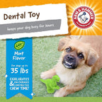 Arm & Hammer for Pets Nubbies Dental Toys T-Rex Dental Chew Toy for Dogs Best - Image 2