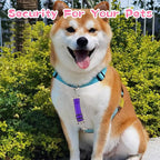 YUEPET Dog Safety Collar Clips 2 Pack Adjustable Prong Collar Backup Clips - Image 6