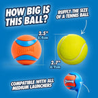 Chuckit! Ultra Ball Dog Toy - Image 4
