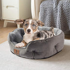 Asvin Small Dog Bed for Small Dogs, Cat Beds for Indoor Cats, Pet Bed for Puppy - Image 2