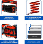 NFL Bengals Dog & Cat Collar - Image 6