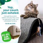 Petlinks Dream Curl Carpet Cat Scratcher, Dual-Surface Cat Scratching Post - Image 4