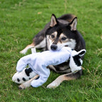 Best Pet Supplies Squeaky Dog Toys - Image 7