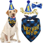 EXPAWLORER Dog Birthday Party Supplies by EXPAWLORER