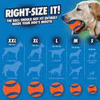 Chuckit! Ultra Ball Dog Toy - Image 6